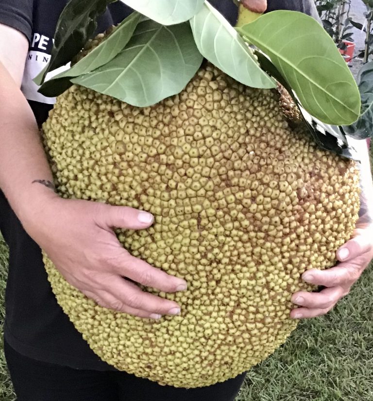 5BCFCD55 17D9 46D3 8B16 8339DCC6FDDD 768x825