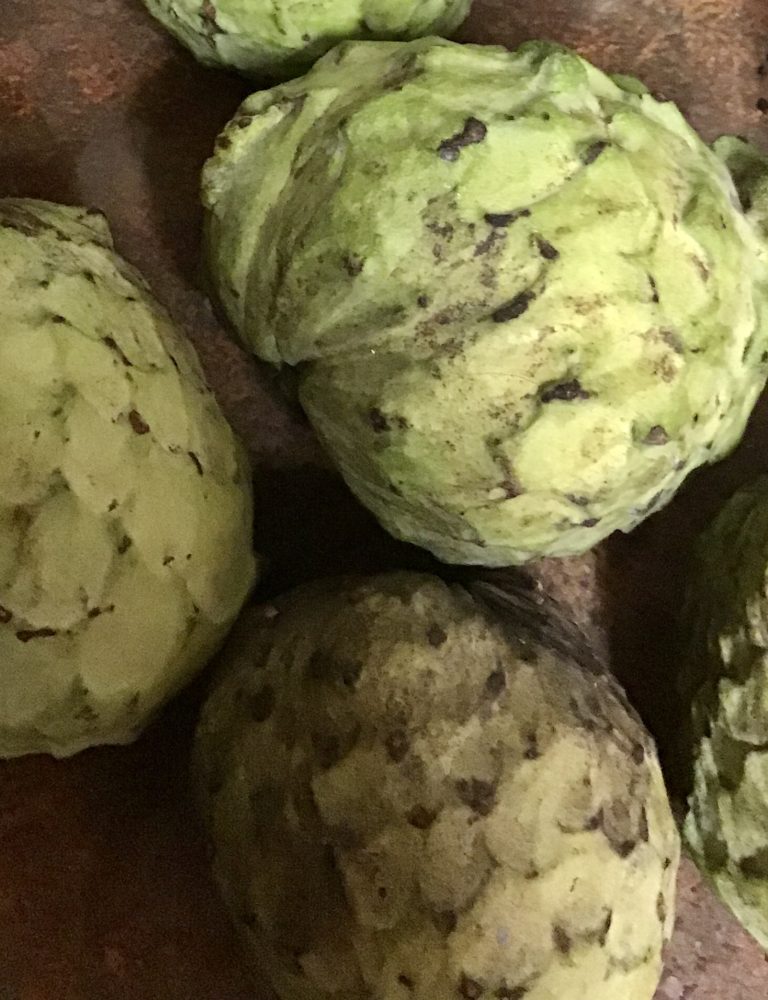 80447311 3ABF 4805 B286 0C0B7A6CD8CB 768x1000